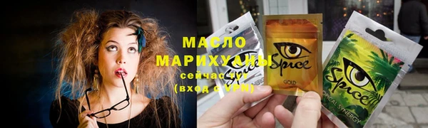 молекула духа Гусев