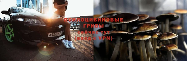 молекула духа Гусев