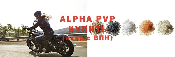молекула духа Гусев
