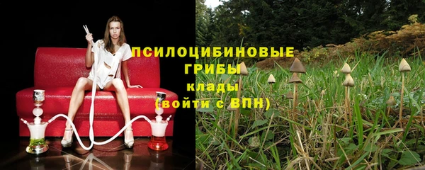 мескалин Гусиноозёрск