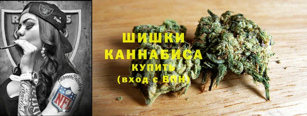хмурый Горняк