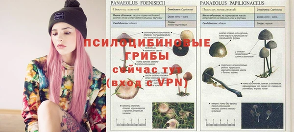 мефедрон мука Гусь-Хрустальный